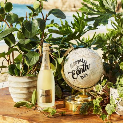 Freixenet by Jonathan Miller